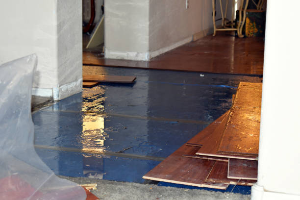 Professional Burst Pipe Cleanup technician working in Claremont, CA